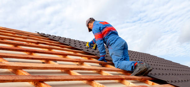 Best Metal Roofing Installation  in Martins Ferry, OH