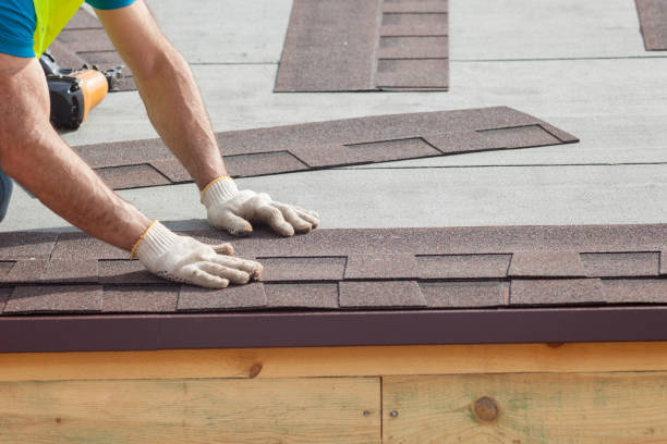 Best Gutter Installation and Repair  in Martins Ferry, OH